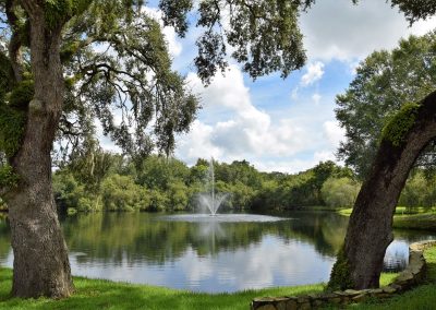 Lake in Arbor Oaks